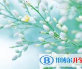 泸州2021年中考志愿怎么录取