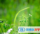 泸州2021年中考志愿填报网址