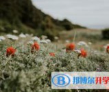 绵阳2022年中考志愿能不能修改