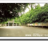 四川交通运输职业学校怎么样，是公办还是民办