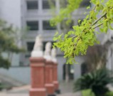 成都市金牛区协同外语学校2025年招生计划