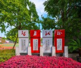 2025年成都市树德协进中学艺体特长生招生简章