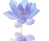 什么是五年制大专