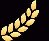 成都龙泉公办高中2024年录取分数线、招生计划、收费汇总