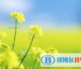 泸州2021年中考志愿填报技巧