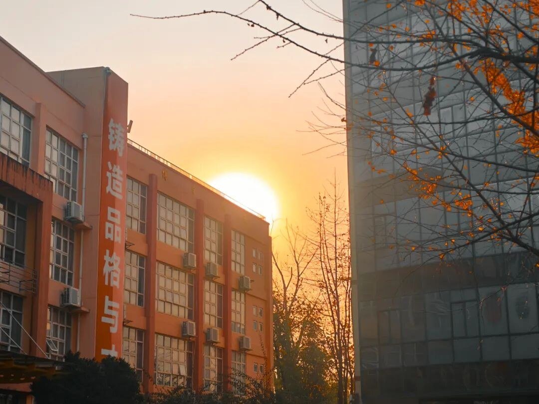 校园环境：教学楼与学生活动场地