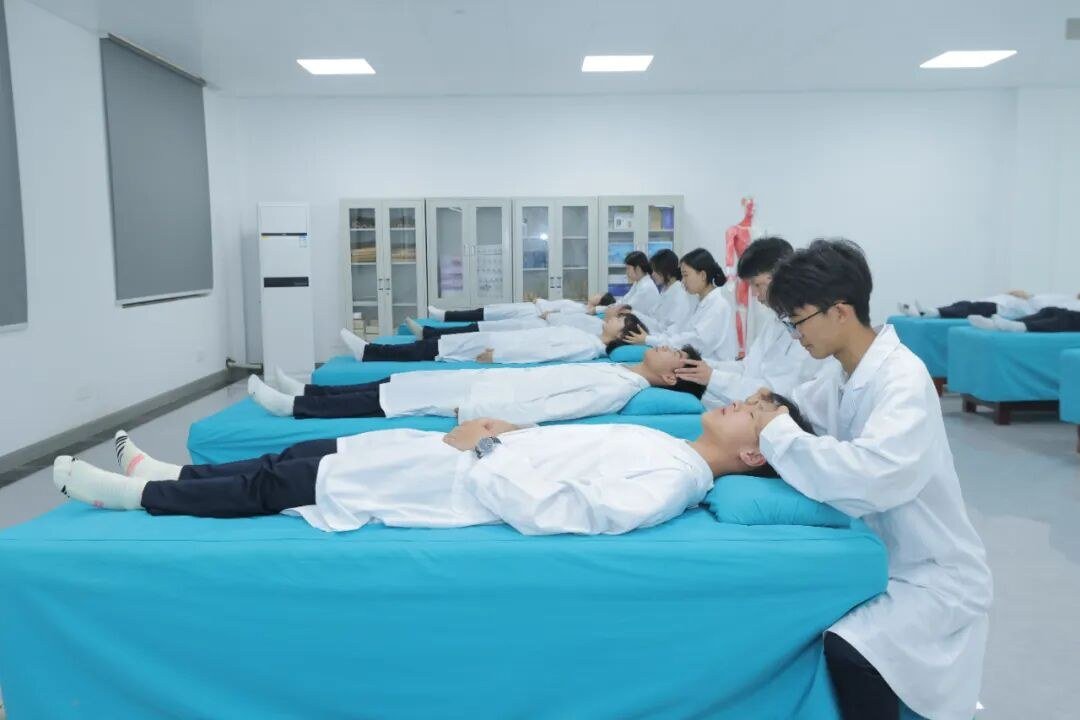 中医康复技术专业实训：推拿与康复手法训练